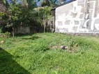 Land for Sale Boralasgamuwa