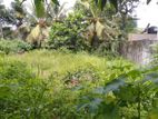 Land for Sale Boralasgamuwa