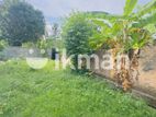 Land for Sale - Boralasgamuwa