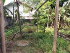 Land for Sale Boralasgamuwa