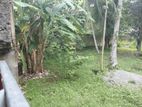 Land for Sale Boralasgamuwa