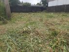Land for Sale Boralasgamuwa
