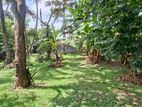Land for sale Boralasgamuwa katuwawala