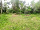 Land for sale Boralasgamuwa Nilammahara