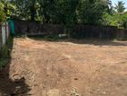 Land for sale Boralasgamuwa Nilammahara