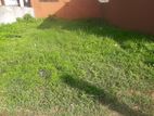 Land for Sale Boralasgamuwa Papiliyana