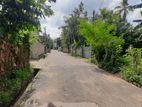 Land for sale Boralasgamuwa , Raththana pitiya