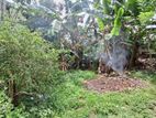 Land for Sale Boralesgamuwa 10th Mile Post