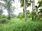 Land for Sale Boralesgamuwa