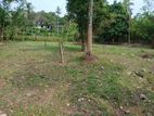 Land for Sale Boralesgamuwa