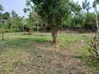 Land for Sale Boralesgamuwa