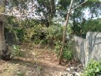 Land For Sale - Boralesgamuwa .