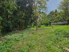 Land For Sale - Boralesgamuwa