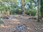 Land for Sale Boralesgamuwa