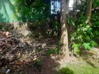 Land for Sale Boralesgamuwa