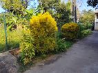 Land for Sale Boralesgamuwa