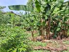 Land for sale Boralesgamuwa