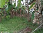 Land for Sale Boralesgamuwa