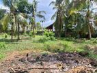 Land for Sale Boralesgamuwa