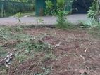 Land for Sale Boralesgamuwa