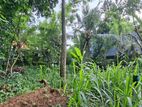 Land for Sale Boralesgamuwa Gangarama Road