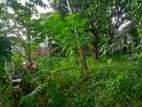 Land for Sale Boralesgamuwa Nilammahara