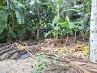 Land for Sale Boralesgamuwa Nilammahara