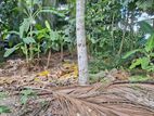 Land for Sale Boralesgamuwa Raththanapitiya