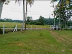 Land for Sale Boralugoda, Horana