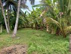 Land for Sale Borelesgamuwa