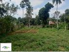 Land For Sale Borelsgamuva Werehara( Dsp 449 )