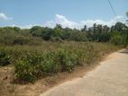 Land For Sale Borupana Rathmalana
