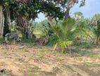 Land for Sale Chavakachcheri