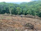 Land for Sale – Buluruppa, Kegalle