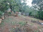 Land For Sale In Kandy