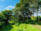 Land for Sale - Charles William Road, Wennappuwa (EM1044)