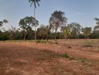 Land for Sale Chilaw