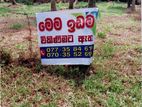 Land For sale chilaw