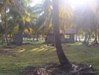 Land for Sale Chilaw