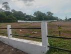 Land For Sale Close To Bandaragama