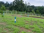 Land for sale Close to Homagama