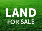 Land For Sale Close To Hospital Road Kalubowila - Dehiwala
