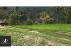 Land For Sale Close To Main Road & Piliyandala Town( Dsp 1065 )