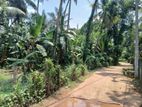 Land for Sale Close to Nittambuwa Town