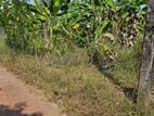 Land for Sale Close to Piliyandala