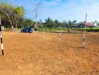 Land for Sale Closed to Kuliyapitiya - Pannala Road Z43