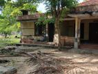 Land for Sale சங்கானை