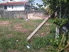 Land for Sale Colombo 07