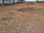 Land for Sale Colombo 4