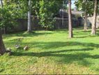 Land for Sale - Colombo 5 (EM567)